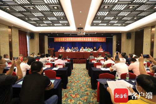 信息技術賦能，質量安全護航——記海南省建設工程質量安全檢測協會商品混凝土分會成立